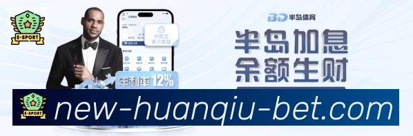 未来规划